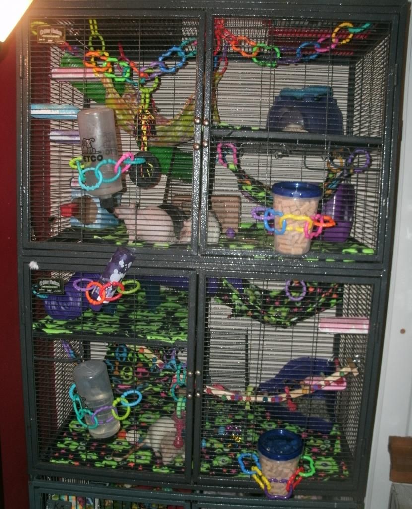 Easy DIY food hopper The Rat Shack Pet Rat Forum