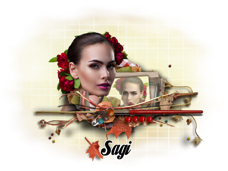  photo sagi s 43.png