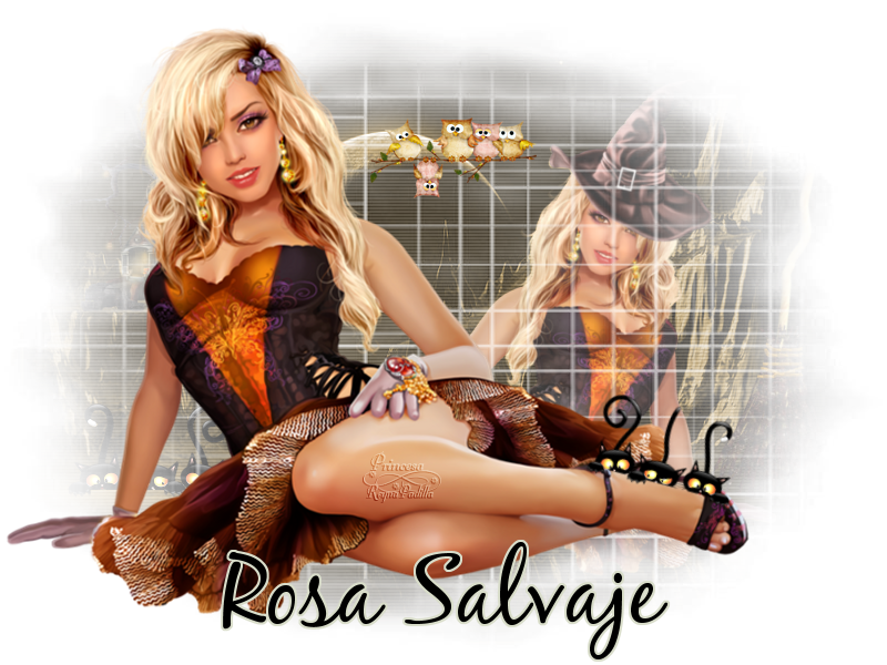  photo rosa salvaje bn1.png