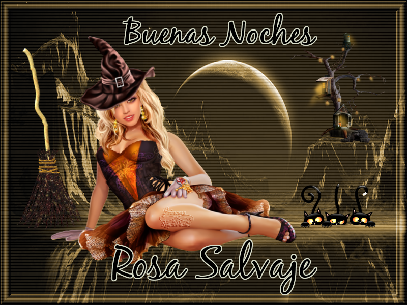  photo rosa salvaje buenas noches.png