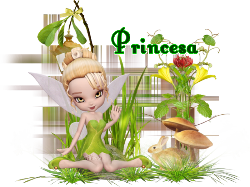  photo reto scrap 12 prin.png