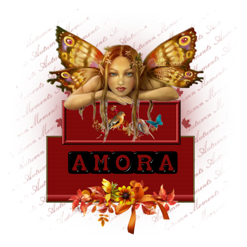  photo amora f41.png