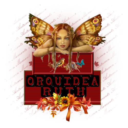  photo orquidea ruth f41.png