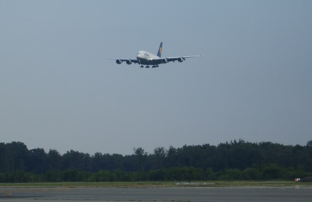 S8300013c.jpg