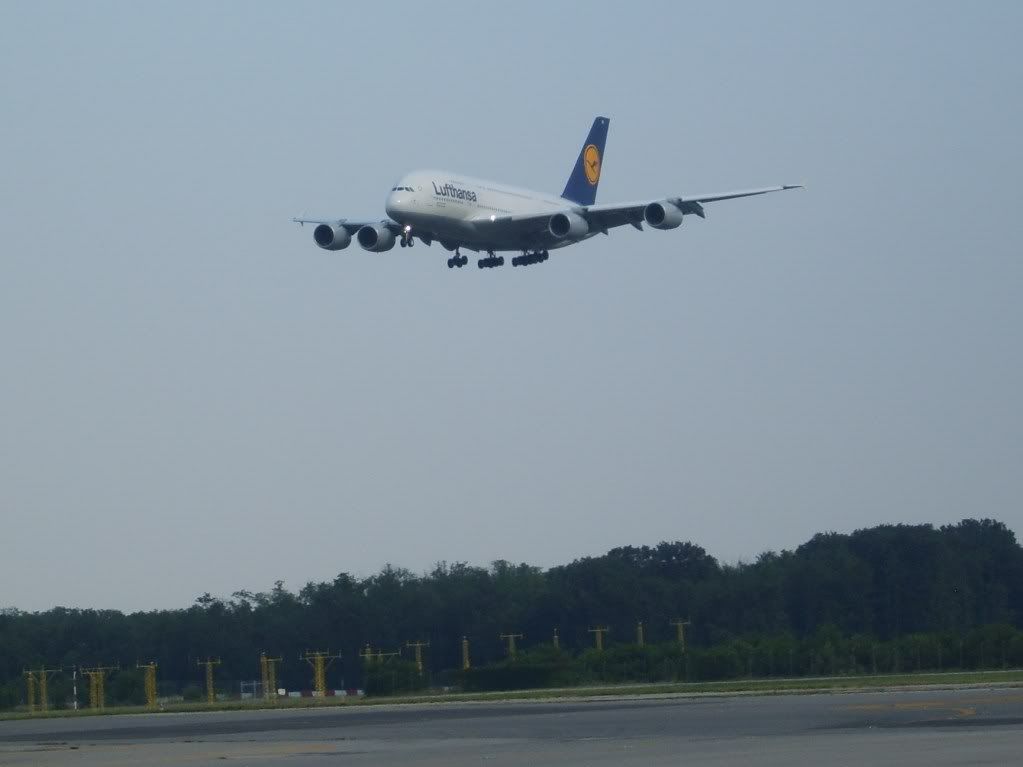 S8300014-1.jpg