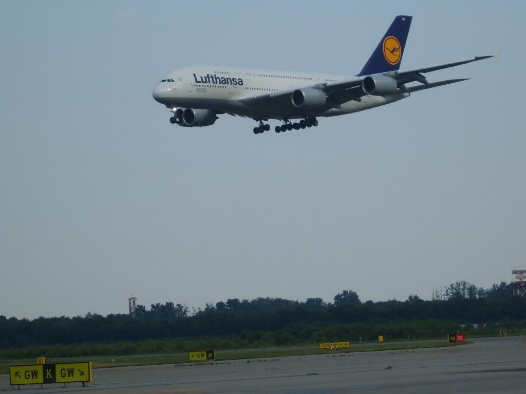 S8300015-1.jpg