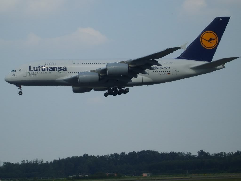 S8300016c.jpg