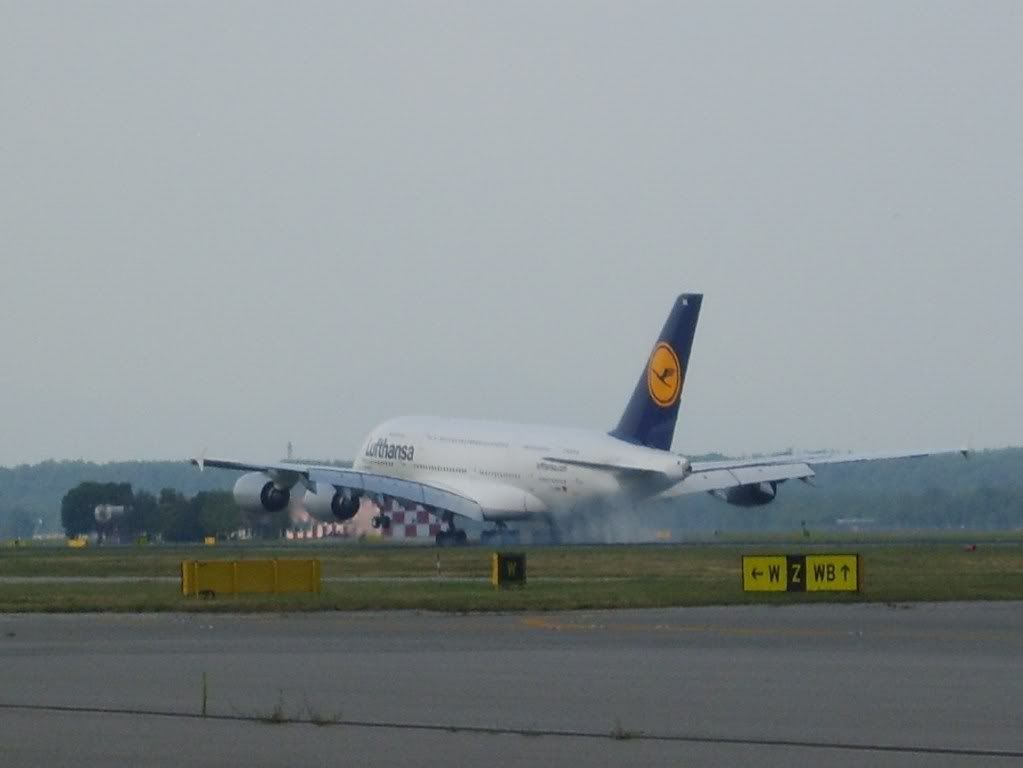 S8300018-1.jpg