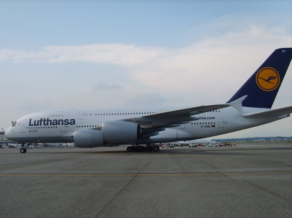 S8300031-1.jpg