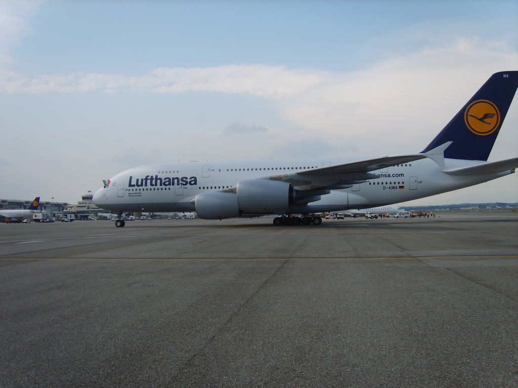 S8300031c.jpg