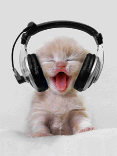 cat_headphones.gif CatHeadPhones image by mtobillthecat
