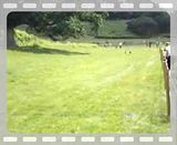 th_P6140025.jpg