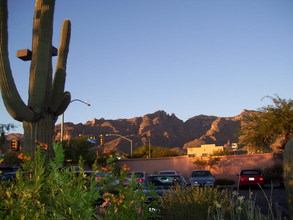 deserts photo: deserts are awesome. LEAH057.jpg