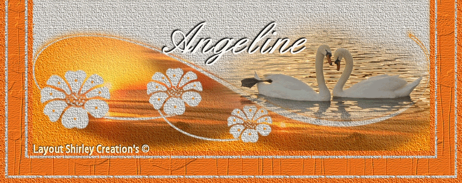 angeline-cisnes.gif picture by BETZIS2