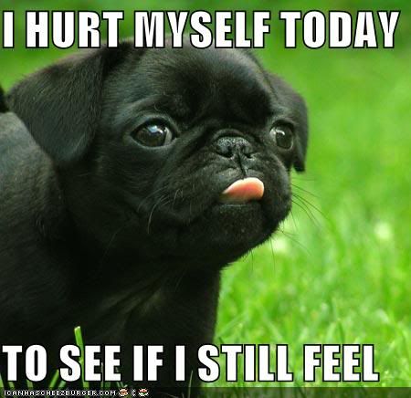 diablo 3 pony patcher 1.0.3 download