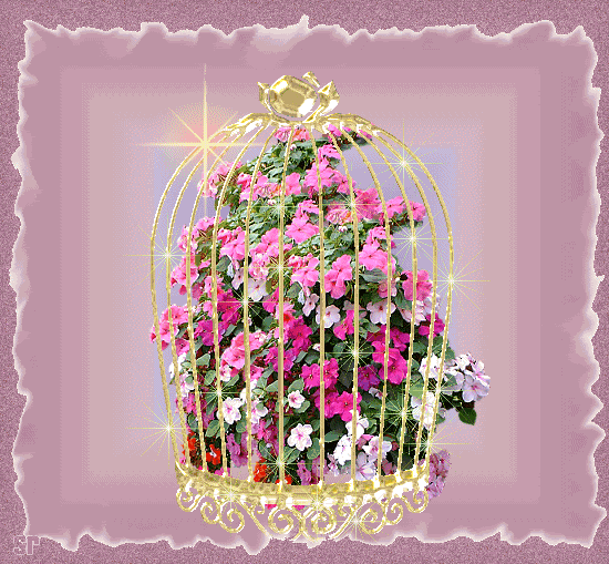 caged pink flowers
