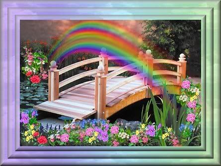 rainbow-bridge.jpg