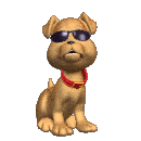 th_Puppy.gif