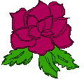 Rose.png Rose image by amurin