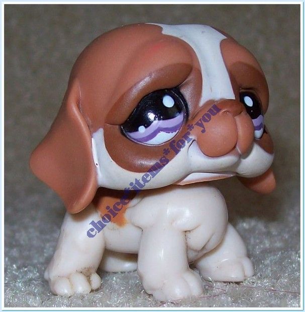 littlest pet shop all around the world