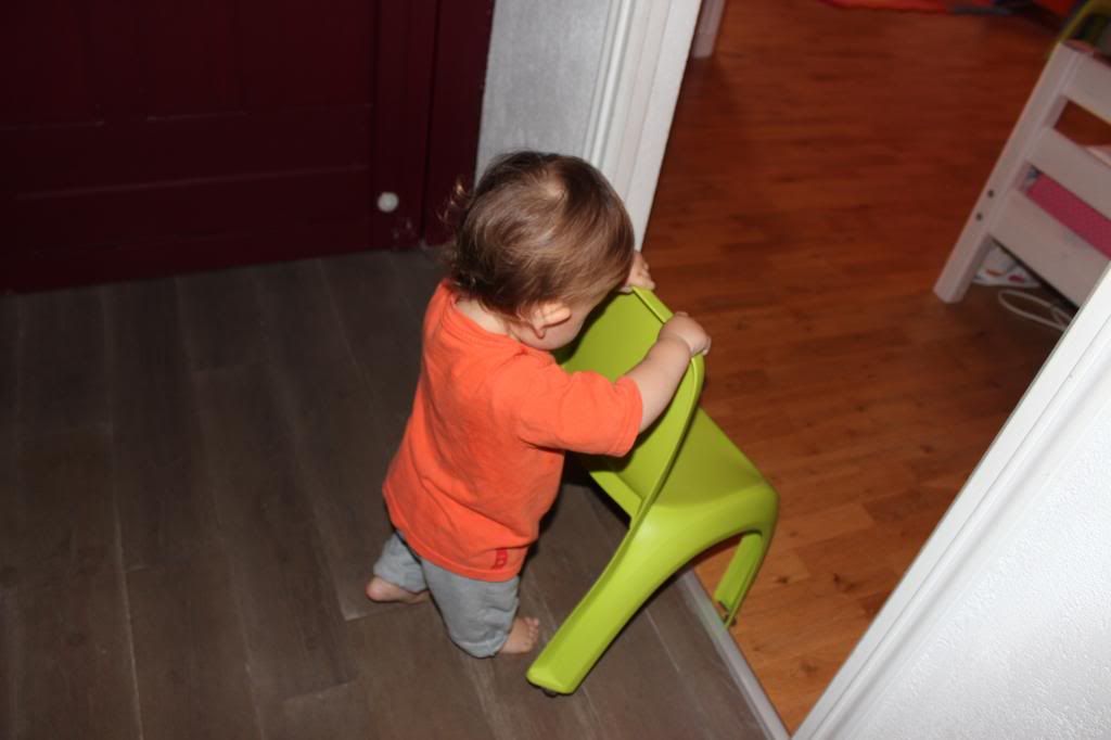 photo IMG_7090_zps403d3dfa.jpg