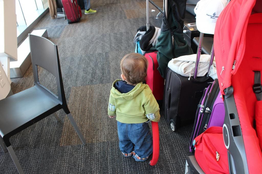 photo IMG_6040_zps0a7af1dd.jpg