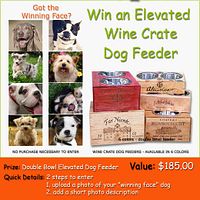 Cute 20dog 20collage Pictures Images Photos Photobucket