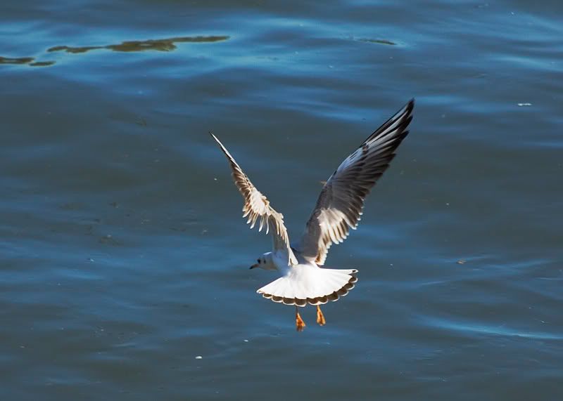 DSC_4675.jpg